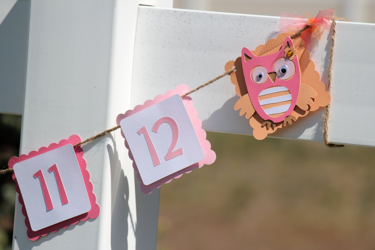 Whimsical Owl 1st year Photo Banner, Baby Shower, Birthday, Party Decorations, First Birthday