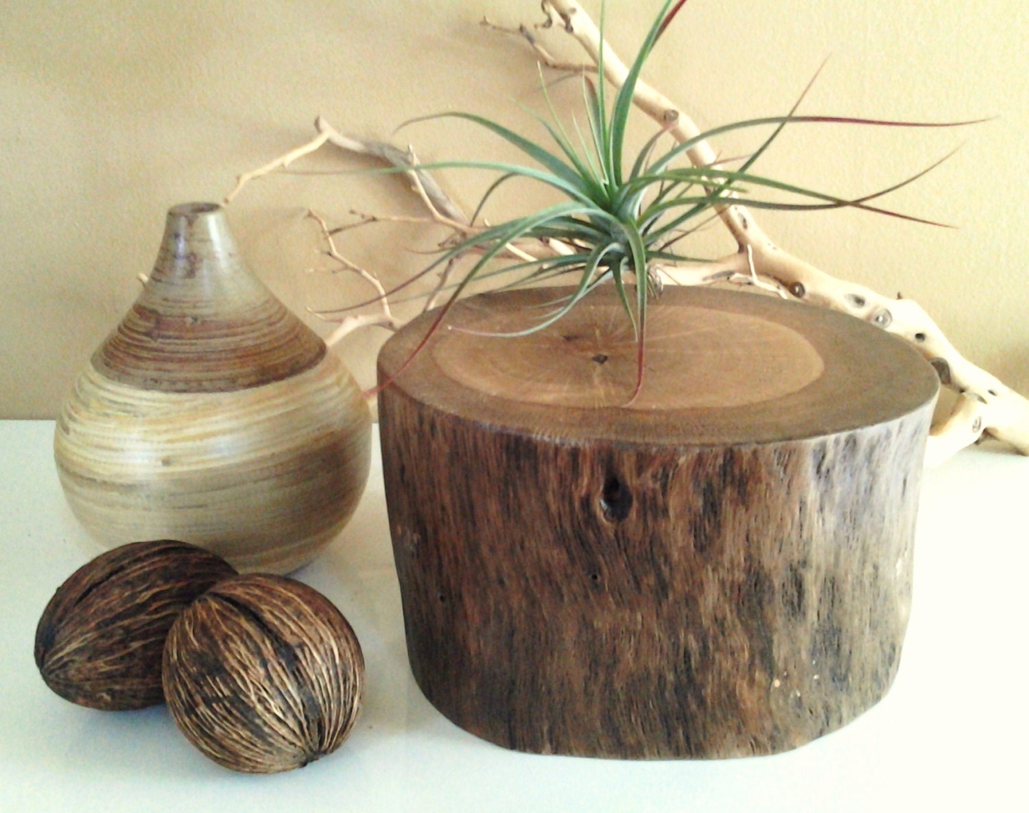 Natural Oak Tree slice stump - Centerpiece - Rustic wedding - Cake stand - Tree slice - Cabin decor