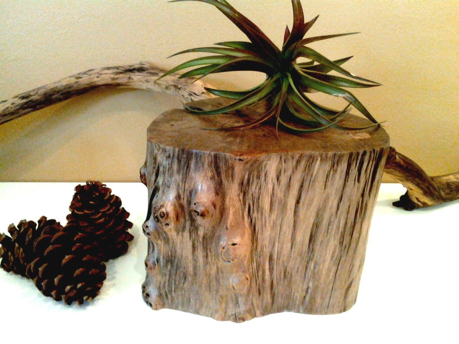 Natural Oak Tree stump  - Centerpiece - Pedestal - Rustic wedding - Tree slice - Home decor - Cabin decor