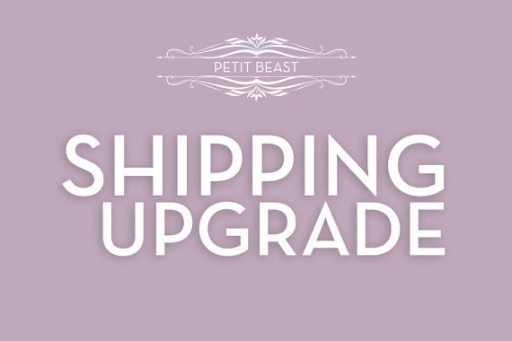 Priority Shipping Upgrade