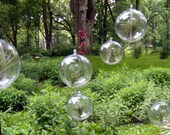 Terrarium - Hanging Air Plant Terrarium