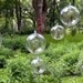 Terrarium - Hanging Air Plant Terrarium