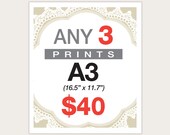 3 Posters for 40 Dollars -  A3 Size