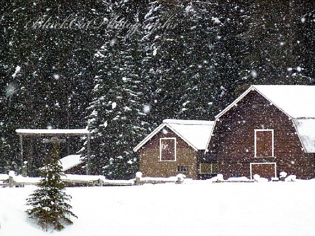 Winter Art Print, snowy day, farm photograph, rustic burgundy barn, falling snow, farmhouse decor 8x10, country chic,  winter wonderland