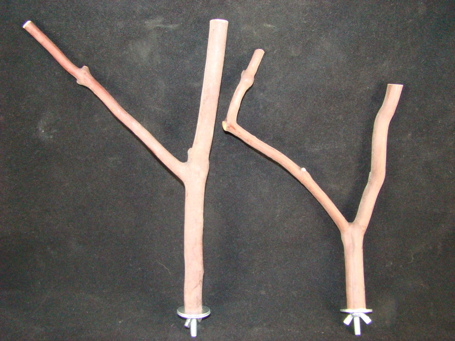 Manzanita Multibranch Bird Perches, Set of Two with Hardware