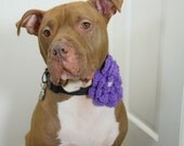 Dog Collar Clip On Crochet Flower Lavender