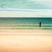 Ocean photography coastal prints vintage inspired 16x24 surfer photo fine art photography large prints ocean photography retro surf