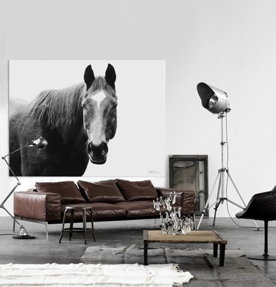 Beautiful and Powerful black and White or sepia photograph "Stare" First edition print by Matt Dougan various sizes and pricing