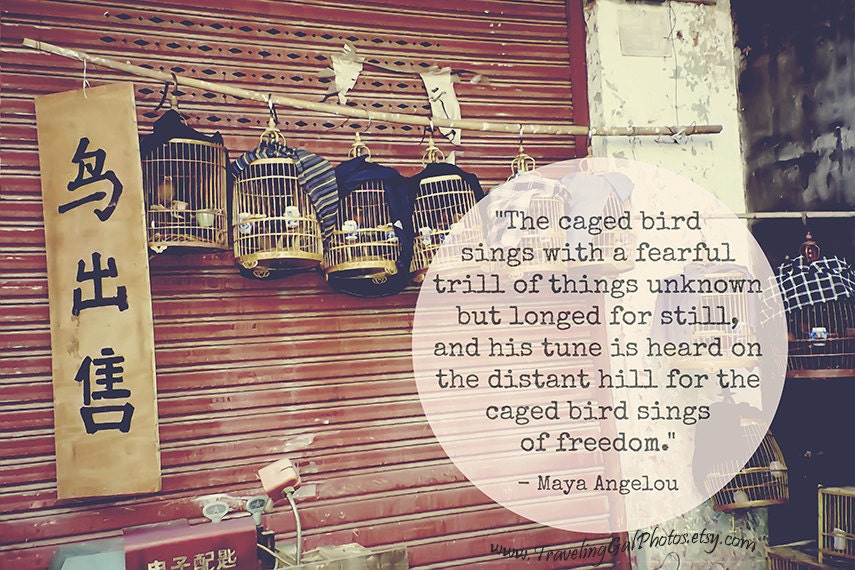 Inspirational art print quotes travel photography bird cages China red brick ivory gold home decor 8x10 fine art photo