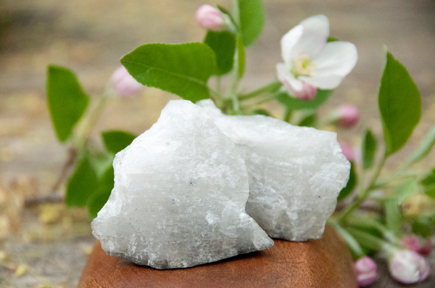 Clear Quartz, Cancer Donation