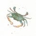 Blue Crab/teal, blue, green, yellow Watercolor/ Archival Print