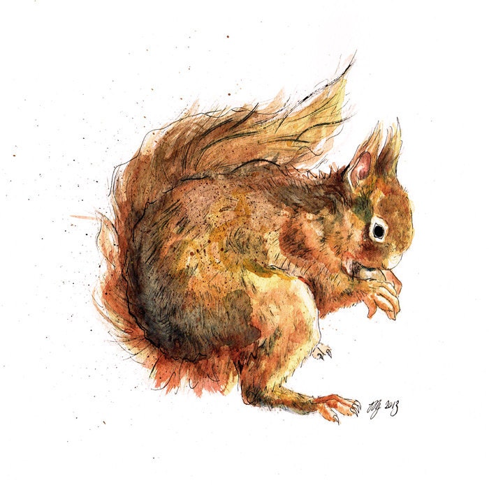 Original Red Squirrel "Nutkin"  Mixed Media Painting