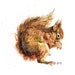 Original Red Squirrel "Nutkin"  Mixed Media Painting