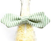 Handmade Mint Green Stripped Seersucker Self Tie Bow Tie