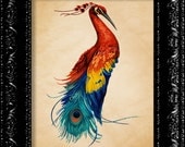 Rainbow Peacock - Vintage Retro Inspired - Modern Design - Collage Art Giclee Print -  8x10 Art Print Poster