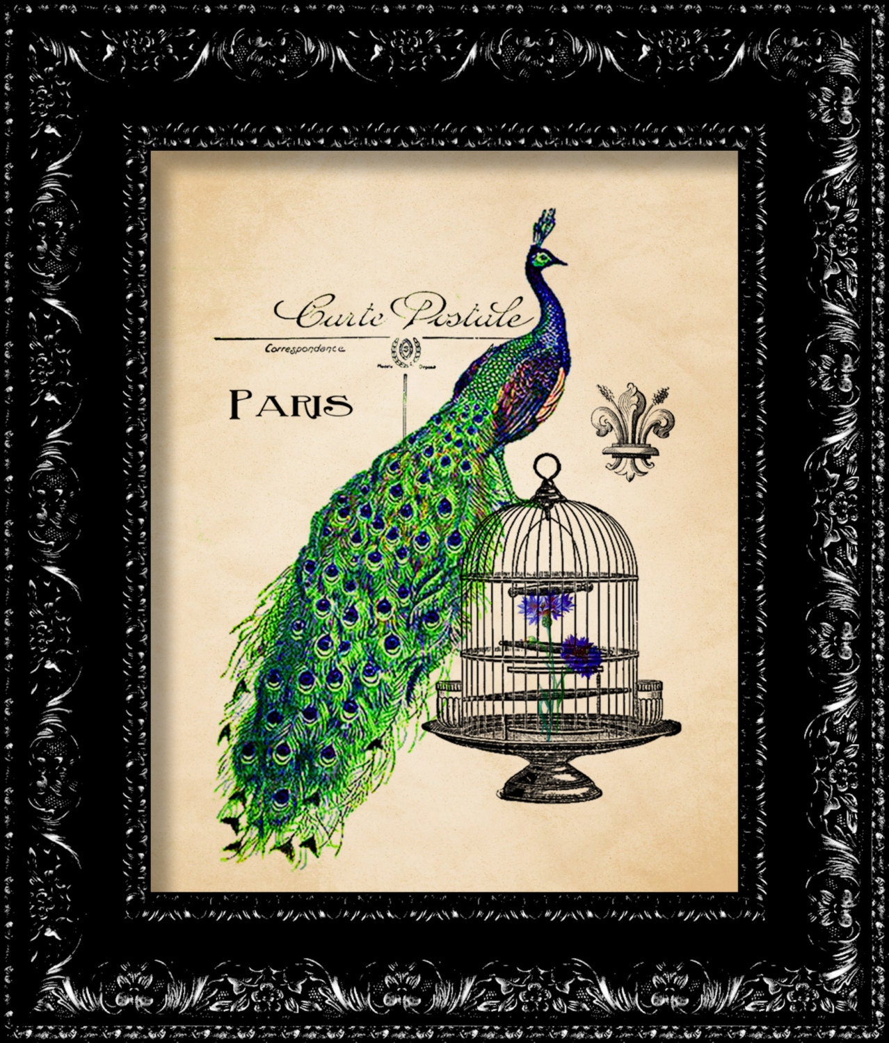 Paris Peacock In A Cage - Vintage Retro Inspired - Modern Design - Collage Art Giclee Print -  8x10 Art Print Poster