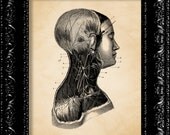 Female Muscle Anatomy - Vintage Retro Inspired - Modern Design - Collage Art Giclee Print -  8x10 Art Print Poster