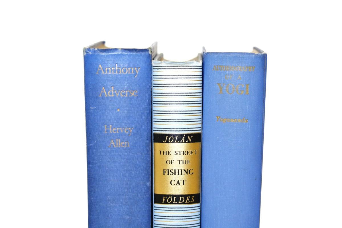 Vintage Blue Books Home Office Wedding Decor Vintage Book Bundle