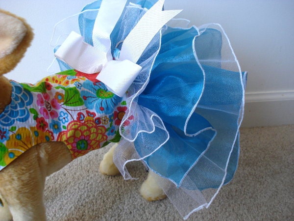 Tutu Dress - Spring Dance