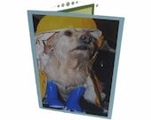 Dog Photo Greeting Card Blank Inside