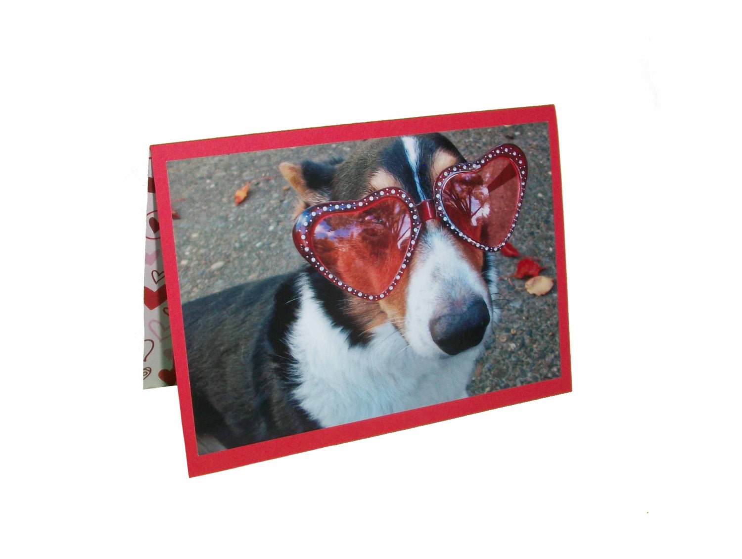 Welsh Corgi Greeting Card, Valentine Blank Card