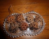 7 Witch's Burrs for Protection and Spells