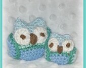 Teeny and Tiny the Owls Crochet Pattern