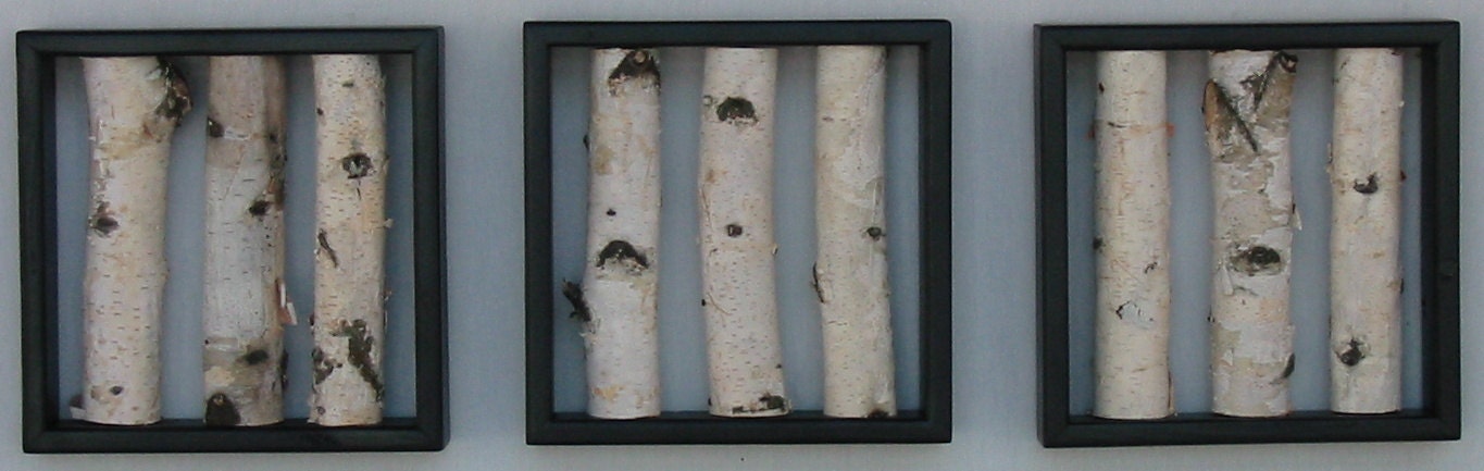 Birch Log Wall Hanging - Black and White,  Open Art, Rustic Art, Shabby Chic Decor, Urban Rustic, Birch Logs, Birch Sticks