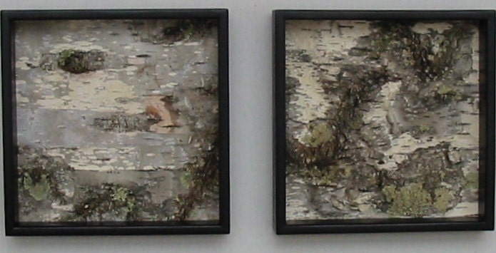 Birch Bark Art, Birch Bark, wall hanging, natural, rustic, modern
