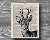 deer doe stag fawn book page dictionary art print  home decor animal antlers