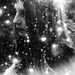 The Dark Fairy 2