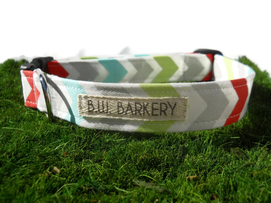 Dog collar...Aqua,red,grey,lime and white chevron print...Any size...