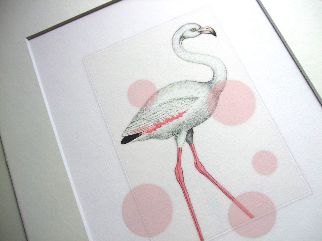 White & Pink Flamingo with Pink Bubbles Naturalist Archival 8 x 10 Print