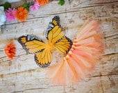 Butterfly Costume tutu Halloween Birthday