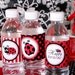 Red Lady Bug Birthday Party - DIY PRINTABLE Water Bottle Drink Label - Instant Download - PS815CA1g