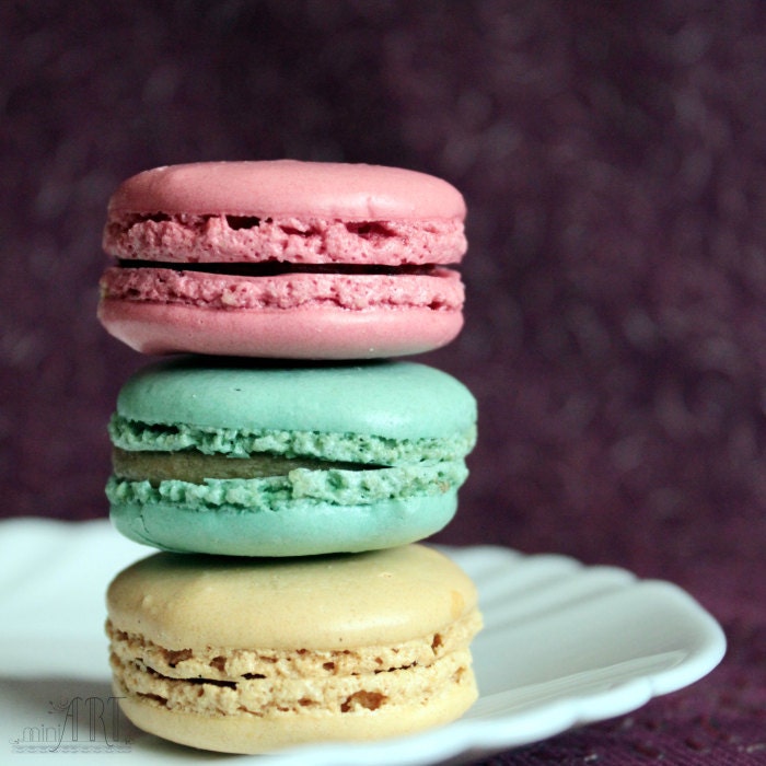 Paris photography, french macarons, food photography, kitchen decor, still life photography 5x7 (13x18) 6x6 (15x15) F R E E  SHIPPING