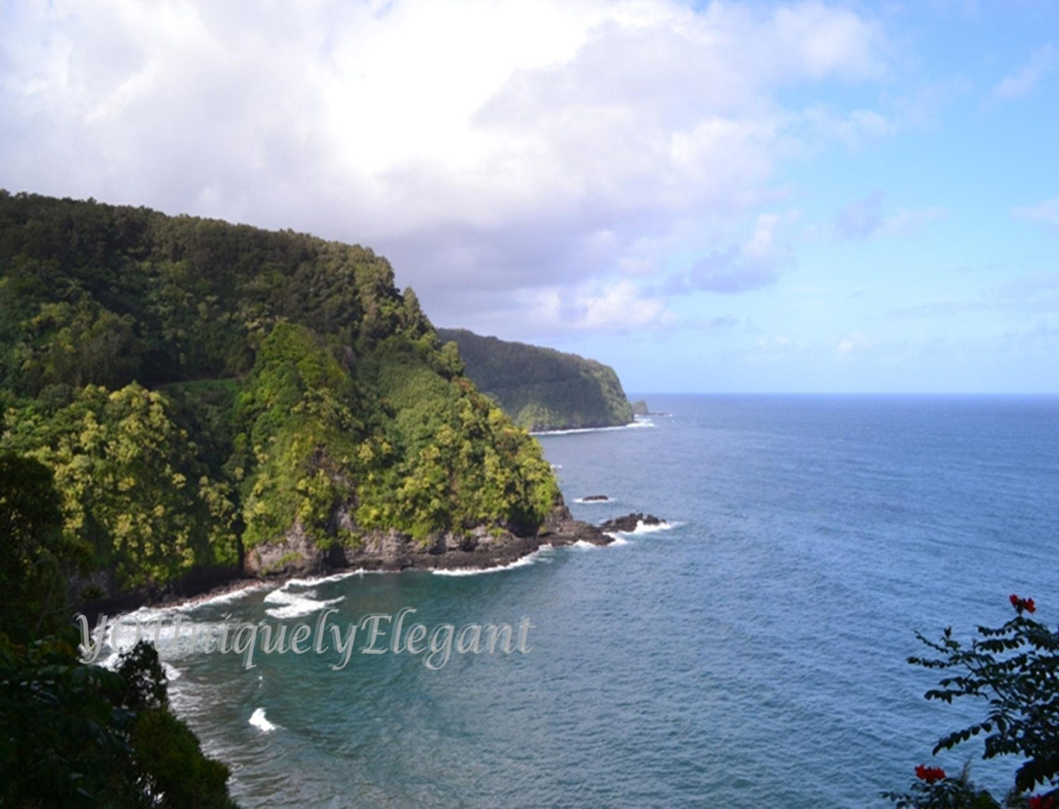 Coastal Landscape Fine Art Photography - Maui Hawaii Coast - 8x10 - By The Sea