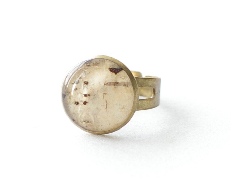Birch bark beige with brown ring - woodland resin beige tree - Betula pubescens