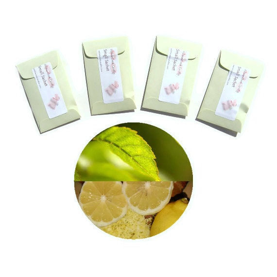 4 Sage Citrus Type Sachets Scented Mens Bath Beauty Fragrance Packets Air Fresheners Rugged Lemon Aromatic Herbs Vegan Small