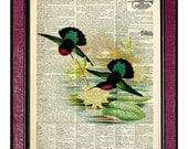 HUMMINGBIRDS Book Art Dictionary Art Print Wall Decor Wall Hangings Digital Illustration Home Decor Bird Illustration Bird Print
