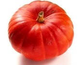 Organic Heirloom 16 Seeds Japanese squash Pumpkin Orange Red Fruit Very Sweet Flavor vine creeper plant Kabocha F70