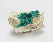 Emerald Green Druzy Dioptase Crystal Cluster Mineral Specimen from Namibia