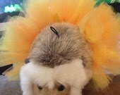 Orange and Yellow Hedgehog Tutu