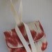 Wristlet Carrying Case