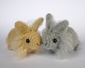 Lionhead baby bunnies