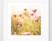 Spring photography, spring decor, flower photography, love photography, photography, Home decor, Summer, Spring