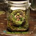 Yoda Terrarium - Hanging Moss Zen Garden - Star Wars / Empire Strikes Back