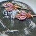 Romantic Vintage Pink Valentine Bridal Bobby Pins
