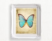 Printable Art Print  8x10 Vintage Turquoise Butterflys  DIY  for home printing - Turquoise Wall Decor