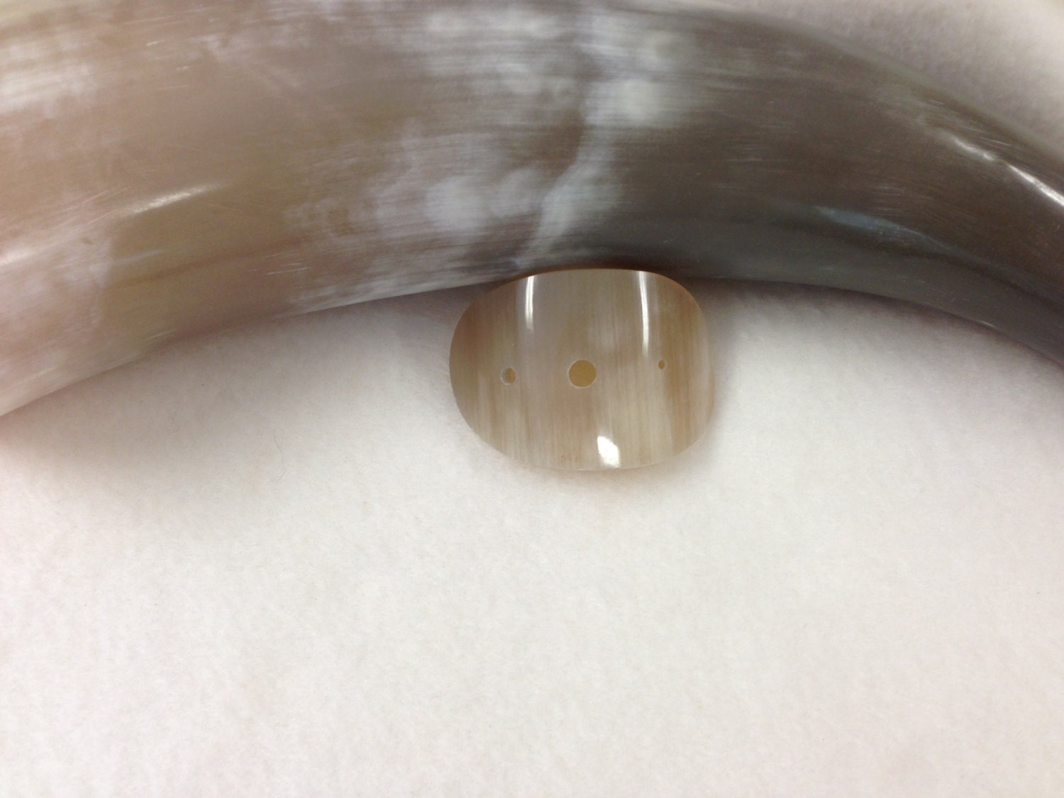 Three-Hole Diz - Horn - One of a Kind - Handcrafted by Magical Moons